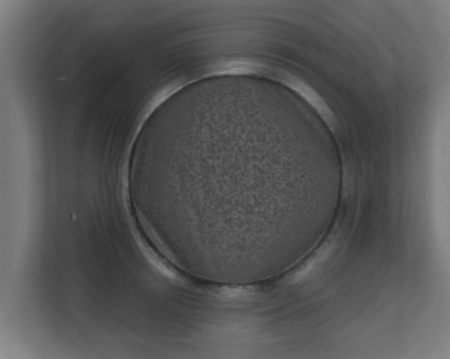 X0000111130850200907071016