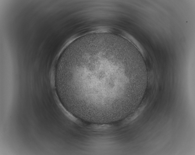 X0000111130851200907071016
