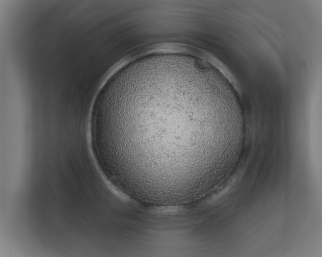 X0000111130853200907071016