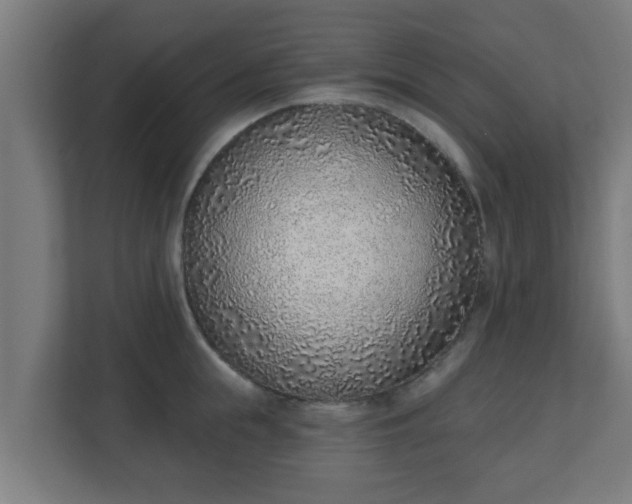 X0000111130855200907071016