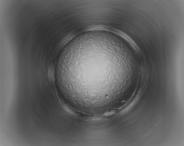 X0000111130857200907071016