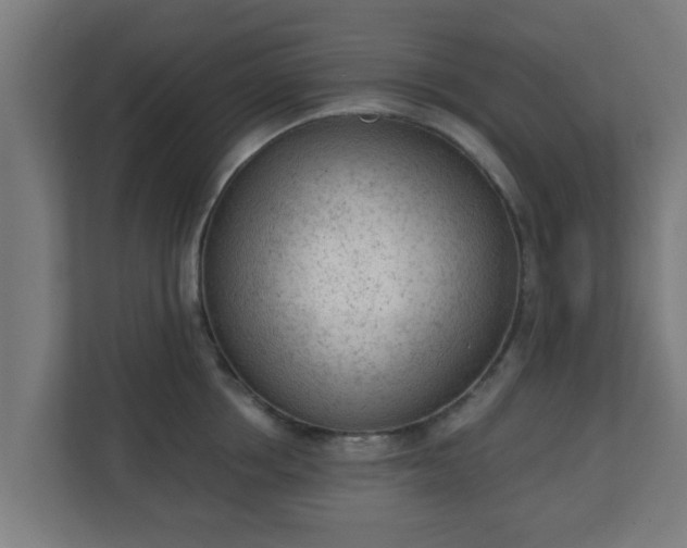 X0000111130858200907071016