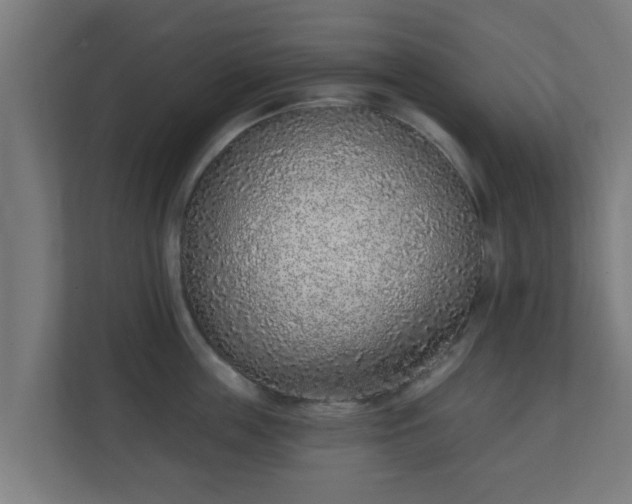 X0000111130859200907071016