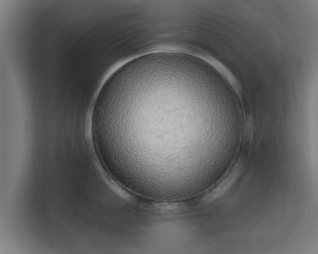 X0000111130862200907071016