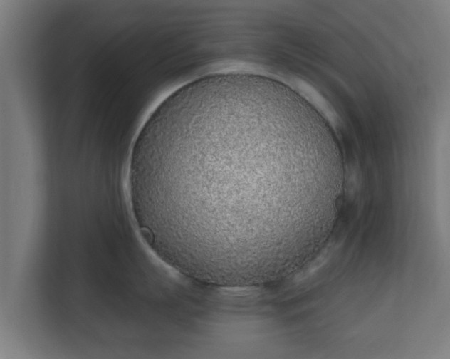 X0000111130863200907071016