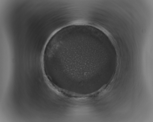 X0000111130864200907071016