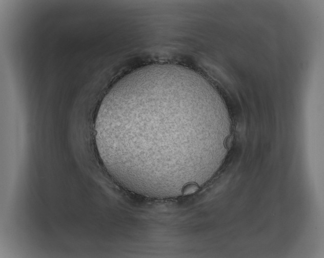 X0000111130865200907071016