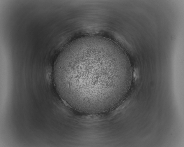 X0000111130867200907071016