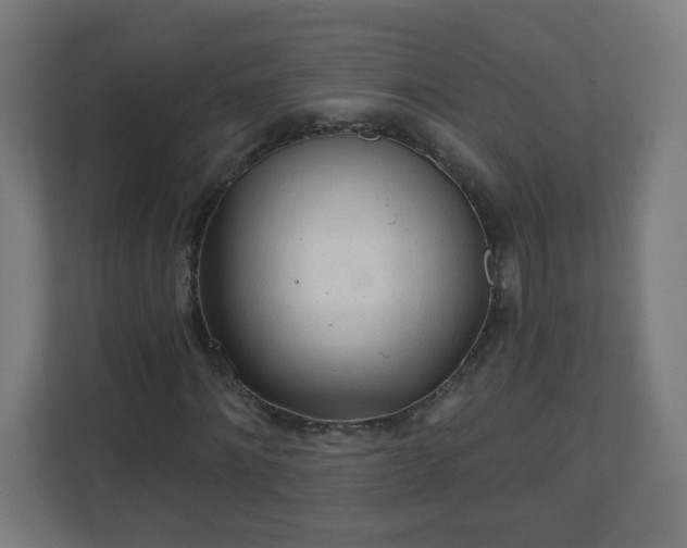 X0000111130868200907071016