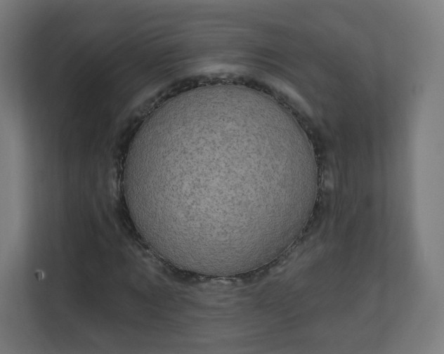 X0000111130869200907071016