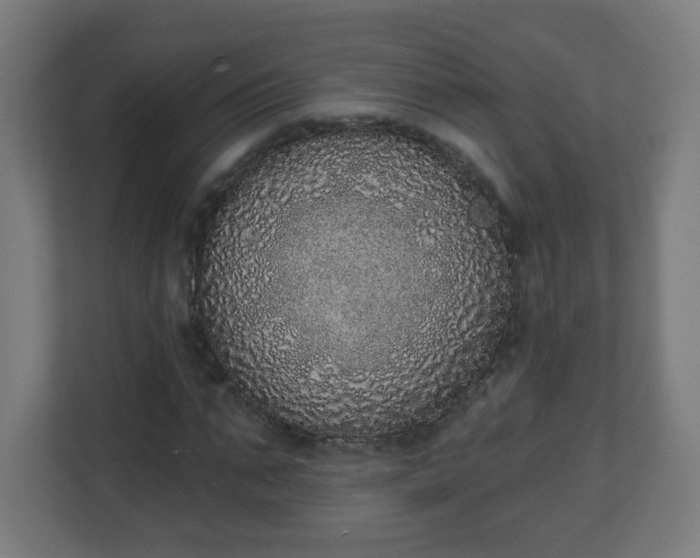 X0000111130871200907071015