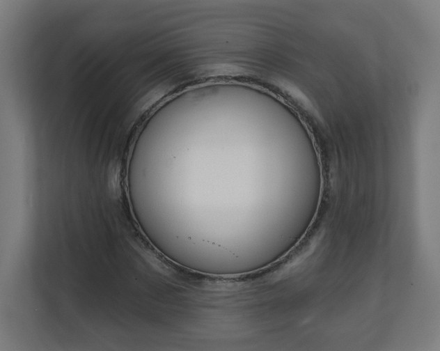 X0000111130873200907071015