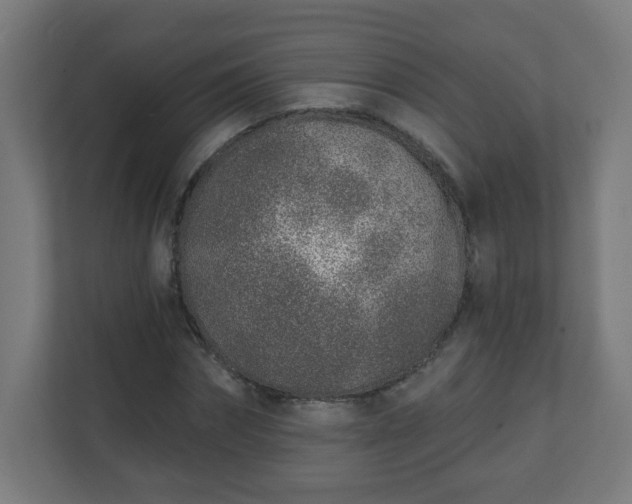 X0000111130874200907071015