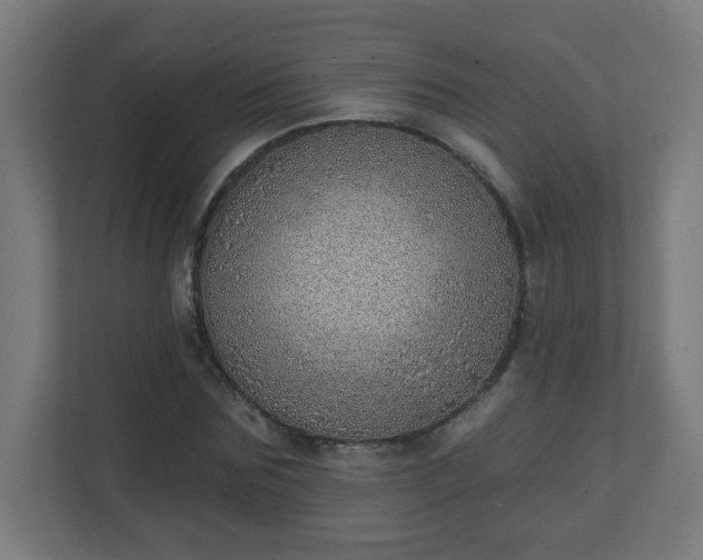 X0000111130875200907071015
