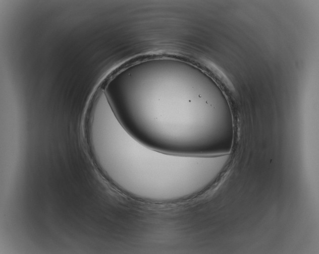 X0000111130876200907071015
