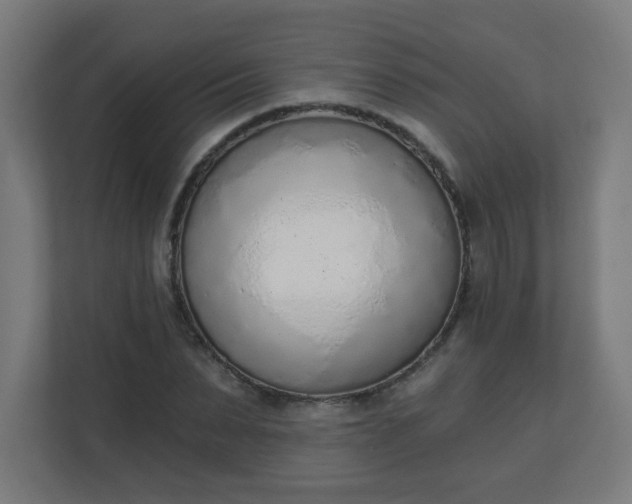 X0000111130879200907071015