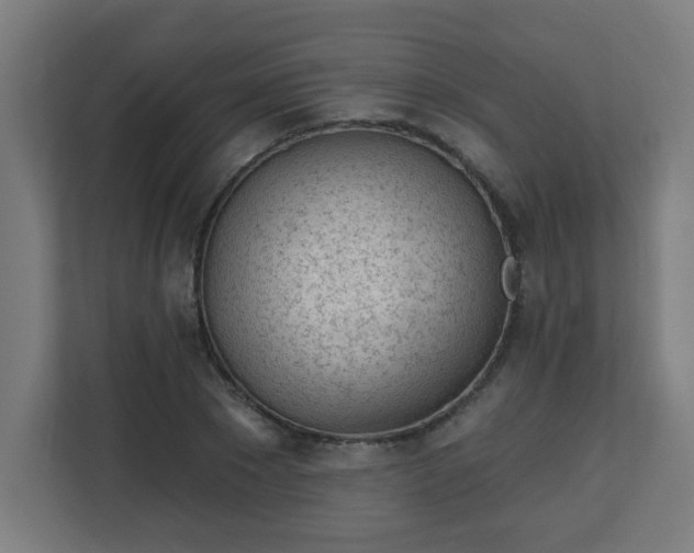 X0000111130881200907071015