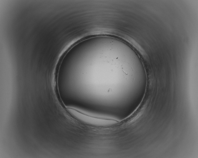 X0000111130885200907071015