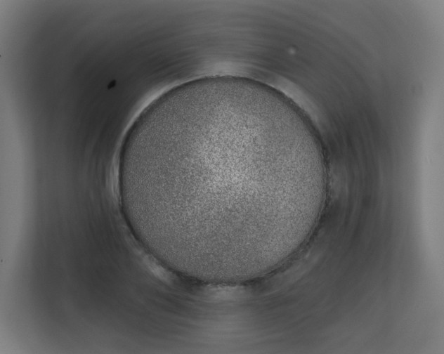 X0000111130886200907071015