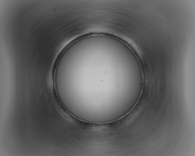 X0000111130887200907071015