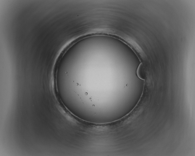 X0000111130888200907071015