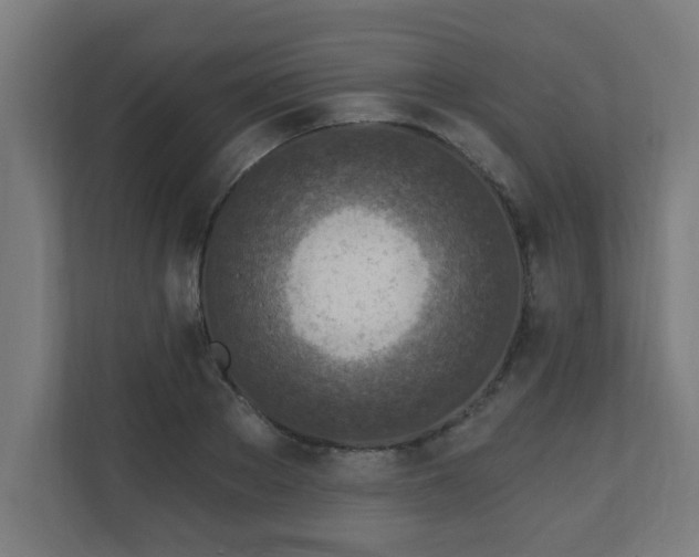 X0000111130889200907071015