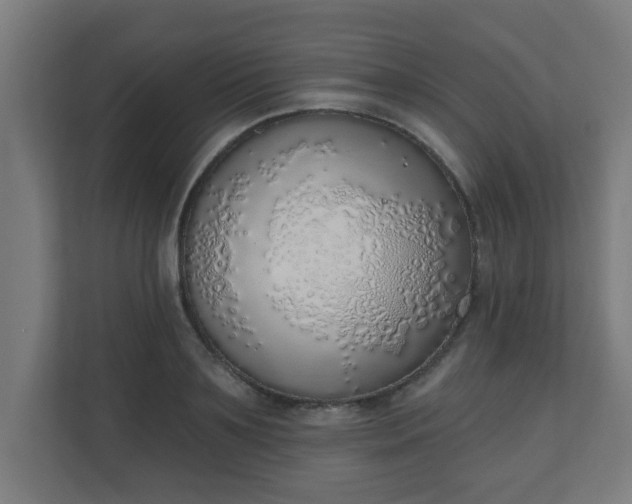 X0000111130891200907071015