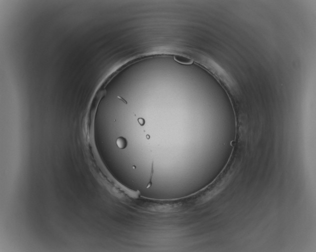 X0000111130892200907071015