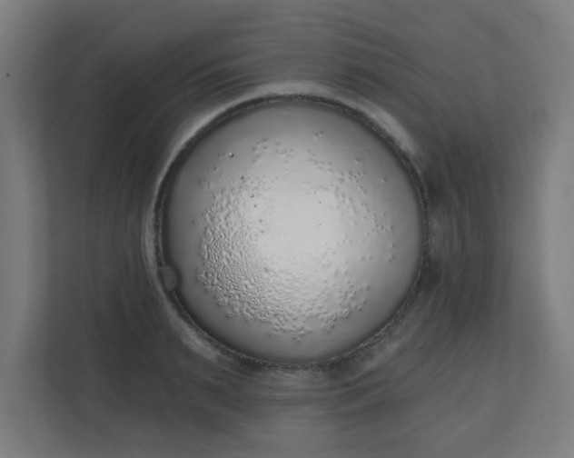 X0000111130895200907071015