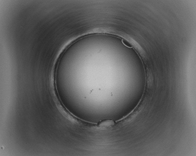 X0000111130896200907071015