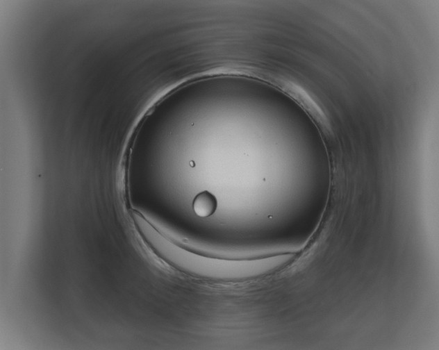 X0000111130900200907071015