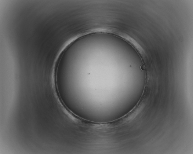X0000111130902200907071015