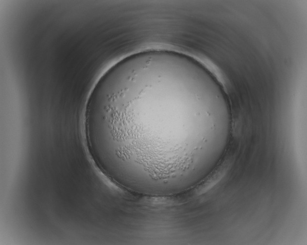 X0000111130903200907071015