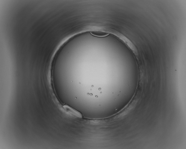 X0000111130904200907071015