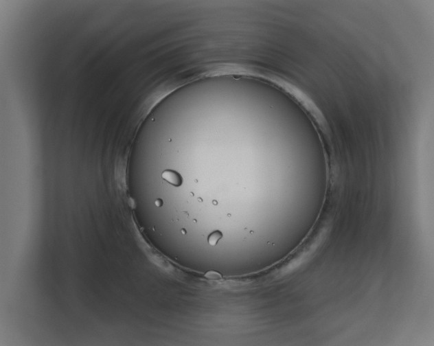 X0000111130905200907071015
