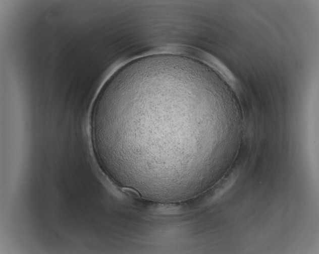 X0000111130907200907071015