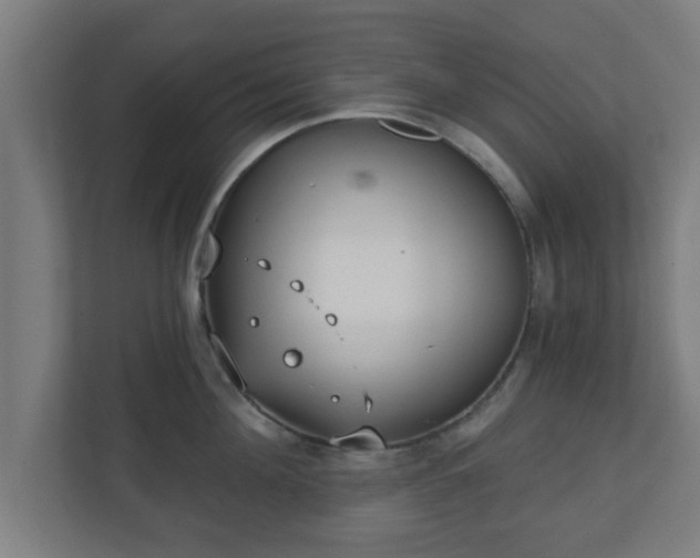 X0000111130908200907071015