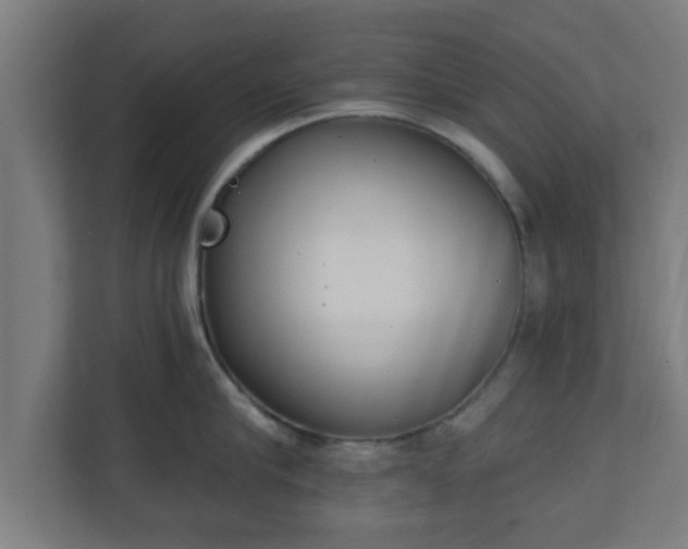 X0000111130910200907071015