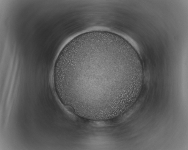 X0000111130911200907071015