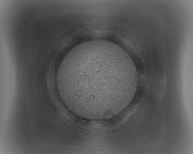 X0000111130913200907071014