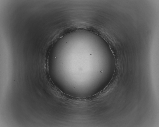 X0000111130916200907071014