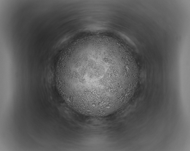 X0000111130917200907071014