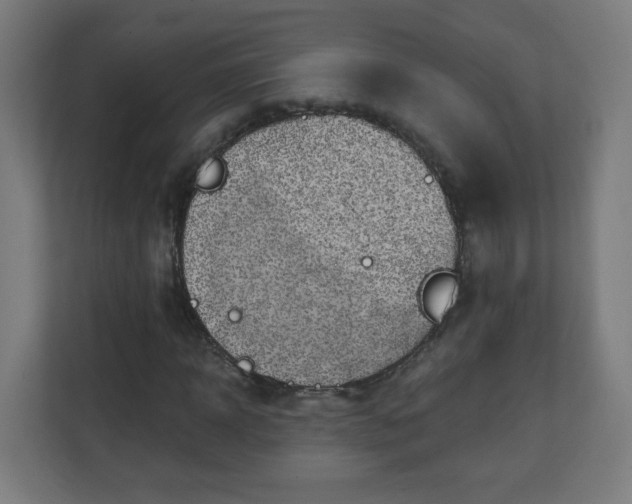 X0000111130918200907071014