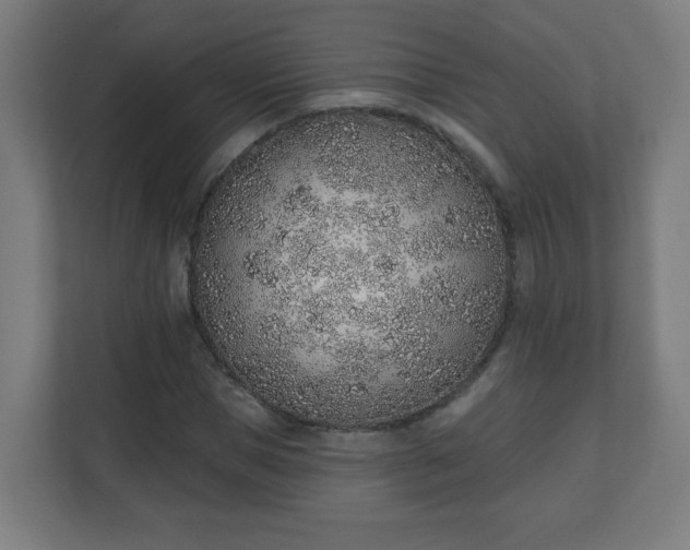 X0000111130921200907071014
