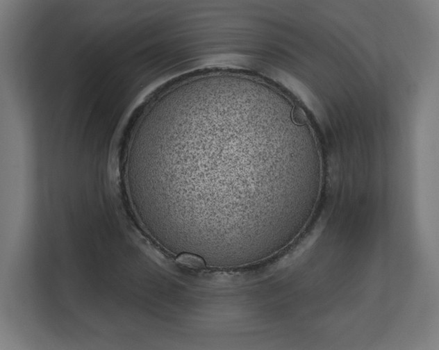 X0000111130923200907071014