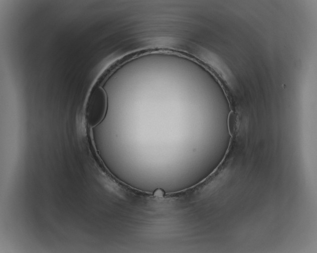 X0000111130924200907071014