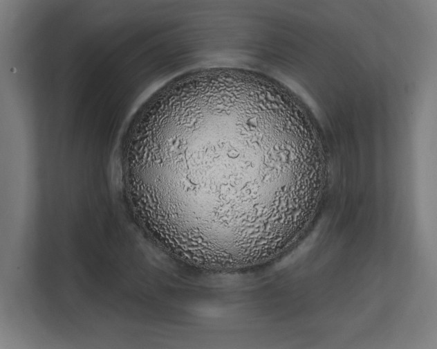 X0000111130925200907071014