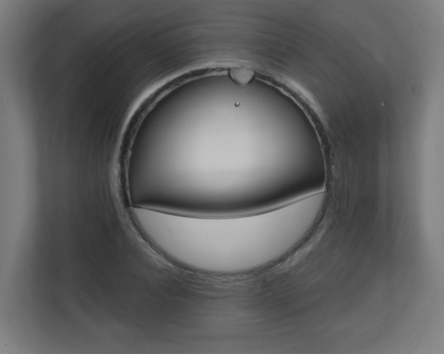 X0000111130928200907071015