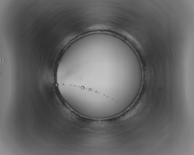 X0000111130929200907071015