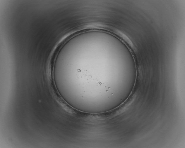 X0000111130931200907071015